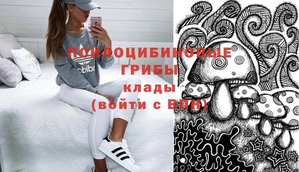 тгк Снежинск